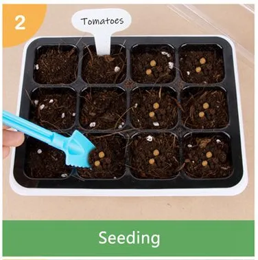 How to Starting Your Gardening Life with Plastic Seed Trays?