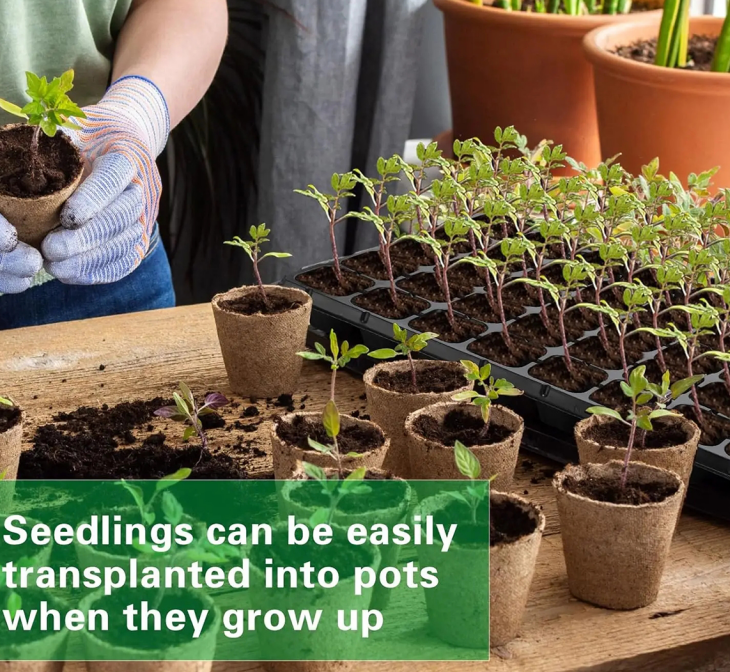Maximize Your Seedling Success with a 72-Cell Seed Plant Growing Tray