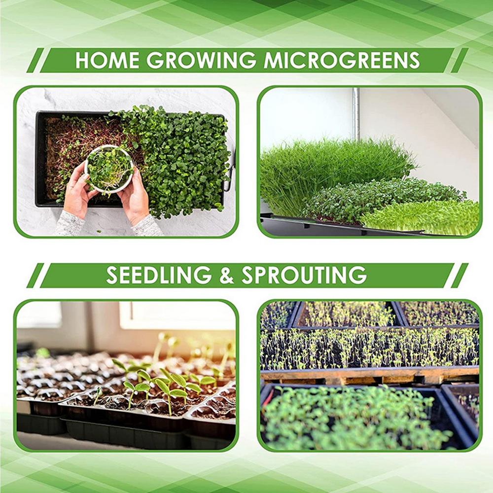 1020 Long Plant Plug Trays for Seedling Plants