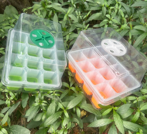 Garden Plant Indoor Grow Kits