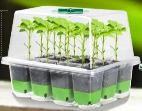 Garden Plant Indoor Grow Kits