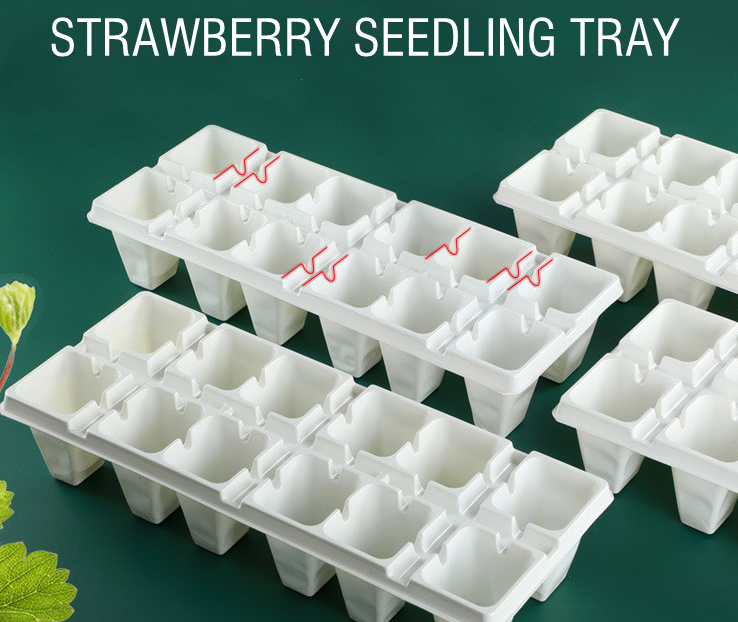 Benefits of Using Seedling Starting Cell Trays
