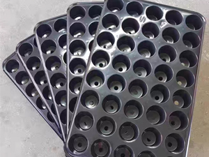 Benefits of Seed Trays in Plant Propagation