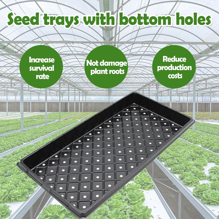 1020 Seedling Flats Trays