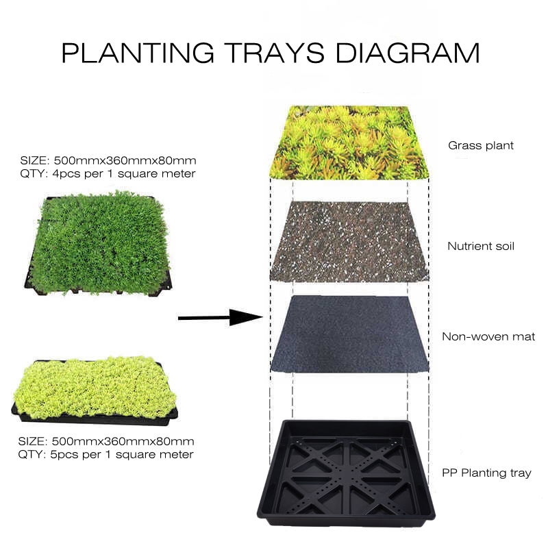 Hydroponics Wheatgrass Growing Tray