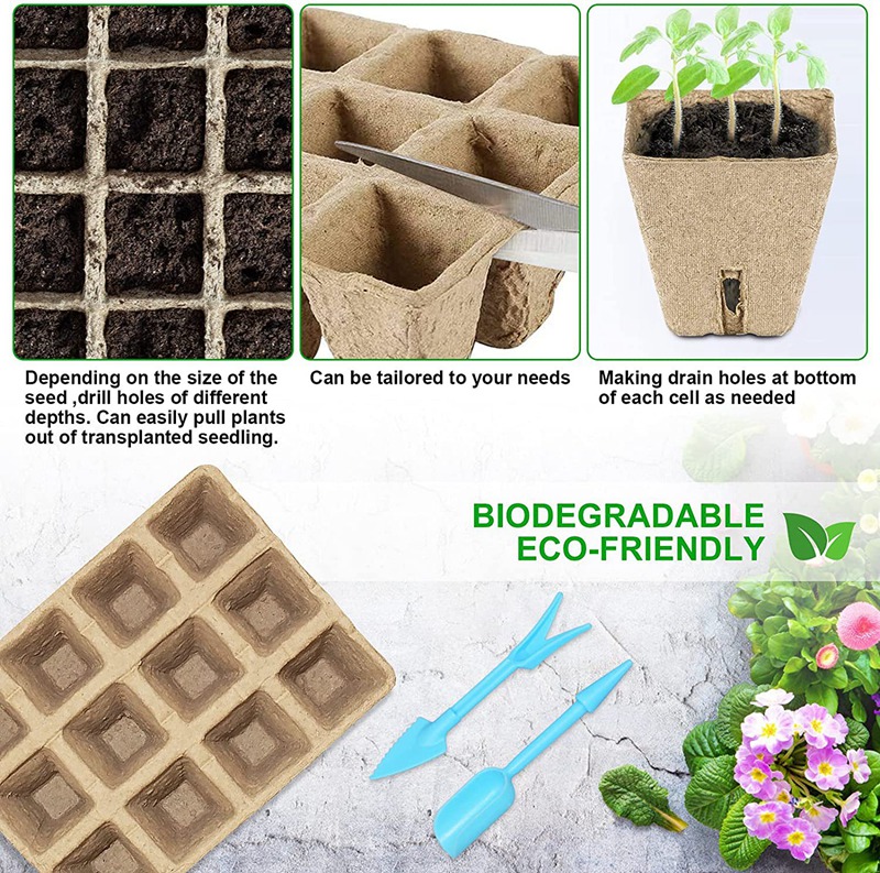 Egg Carton Seed Starting Trays