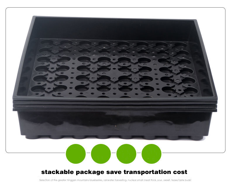 Grass Plug Growing Trays