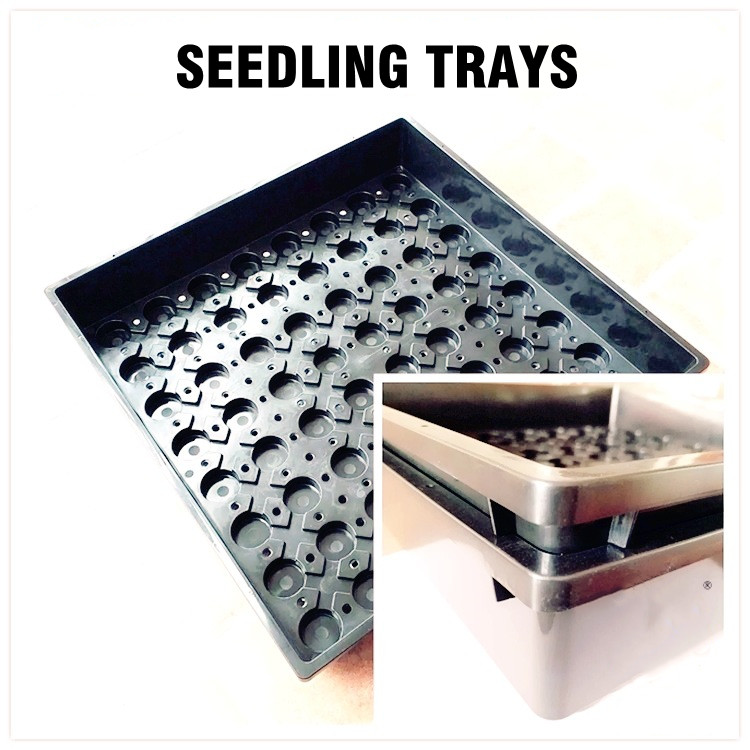 Grass Plug Growing Trays