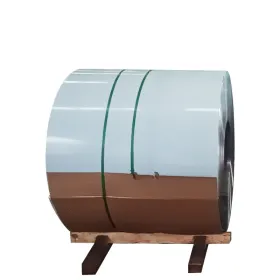310 310s Stainless Steel Coil