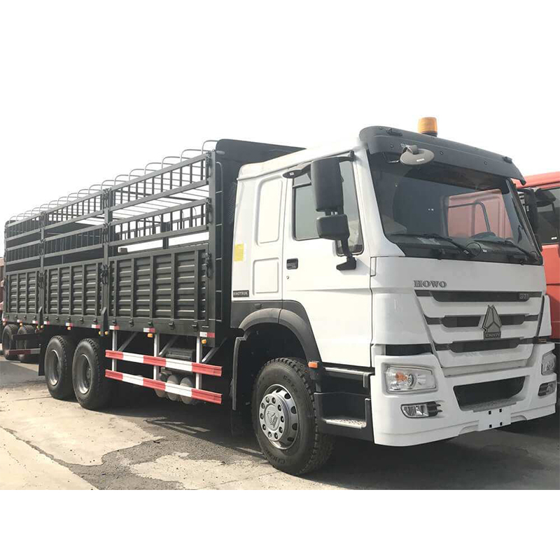HOWO Cargo Truck