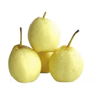 thin skin oval pear
