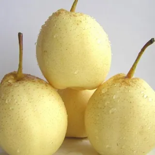 Yali pears, also known as ya or Chinese white pears, are a type of Asian pear native to northern China.