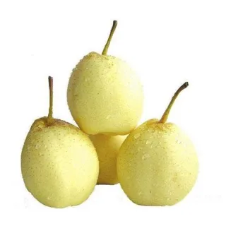 Pears are a powerhouse fruit, packing fiber, vitamins, and beneficial plant compounds.
