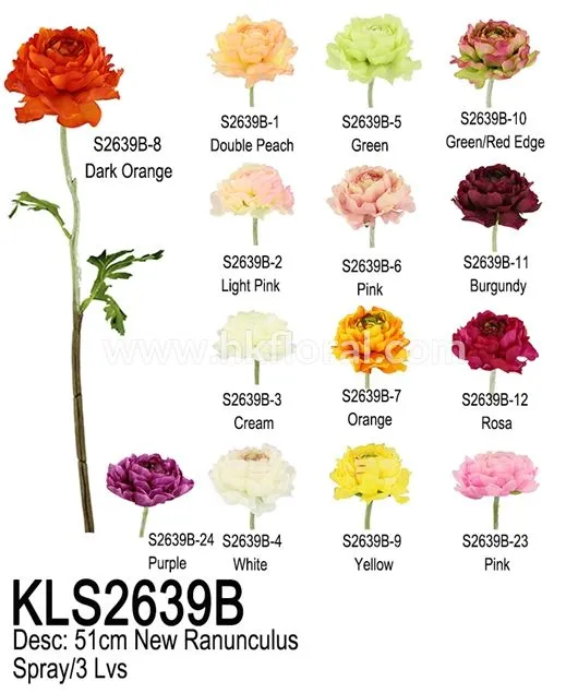 Ranunculus Flower Spray Detailed Images
