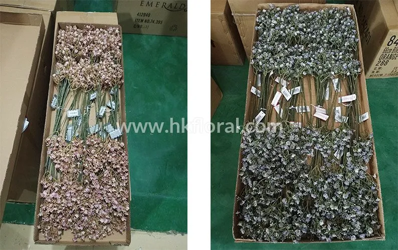 Artificial Flower, Home Deco, Gypso Spray x 10/70 Fl. /Dry Color