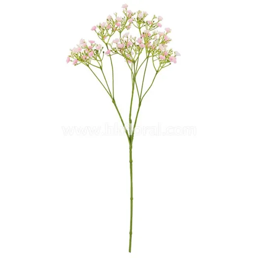 Gypso Spray x 10/70 Fl. (Huge Popular)