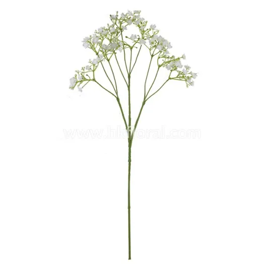 Gypso Spray x 10/70 Fl. (Huge Popular)