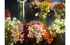 How Do I Store My Artificial Flowers?