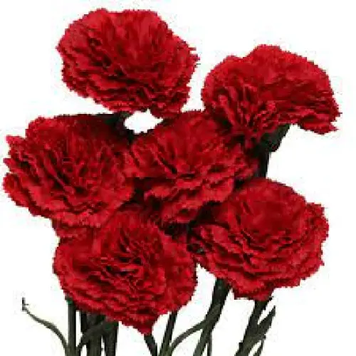 Firstly, artificial wedding flowers are very affordable. You can often get multiple bouquets of artificial wedding flowers for the same price as getting a single bouquet of flowers. Artificial flowers are also durable, which makes them very cost effective