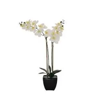 Artificial orchids give the same cozy, green feel as live plants - but you don't have to water and care for them.