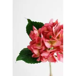 These artificial hydrangeas are the perfect centerpiece for any party or space.