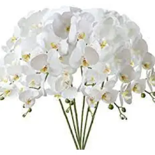 Buy beautiful artificial orchids to decorate your living and working space.