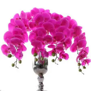 Artificial flowers usually refer to artificial flowers made of stretched silk, crepe paper, polyester, plastic, crystal and other materials, as well as dried flowers made from flowers.