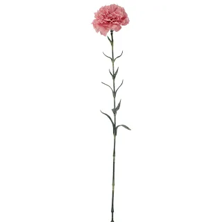 Decorate your office or home with our beautiful artificial carnations.