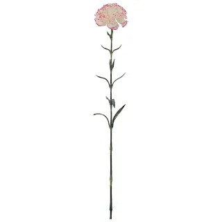 Experience the timeless beauty of carnations with our artificial versions.