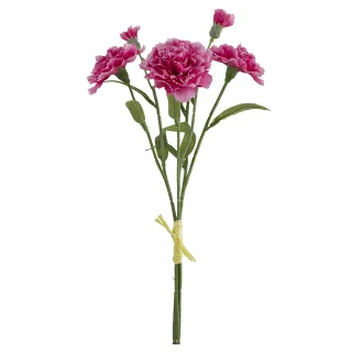 Enhance any room with the beauty of our artificial carnations.