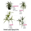 Artificial LEAF, Orchid Leave Spray(3 SIZES)