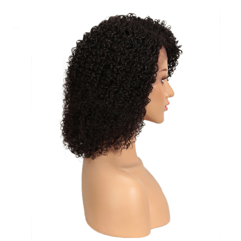 Kinky Curly Lace Front Human Hair Wigs