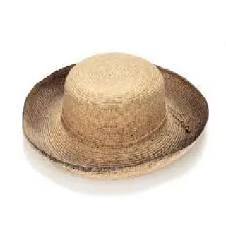 Raffia is the most sustainable type of palm known to hat makers.