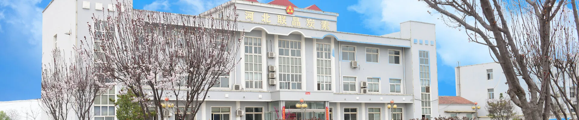 Hebei Lianjing Carbon Nouveau matériau Tech Co., Ltd.