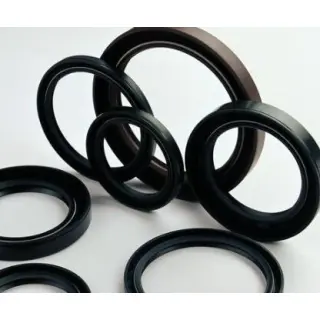 We are one of the highly acknowledged organizations that manufacture, supply and export an extensive range of Neoprene Rubber Seals. The complete range of our products is made up of premium grade base material bought by the trustable dealers of the indust