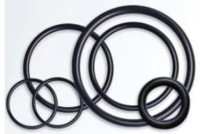Everything You Should Know About O-rings