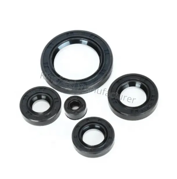 Oil Seal Kit 