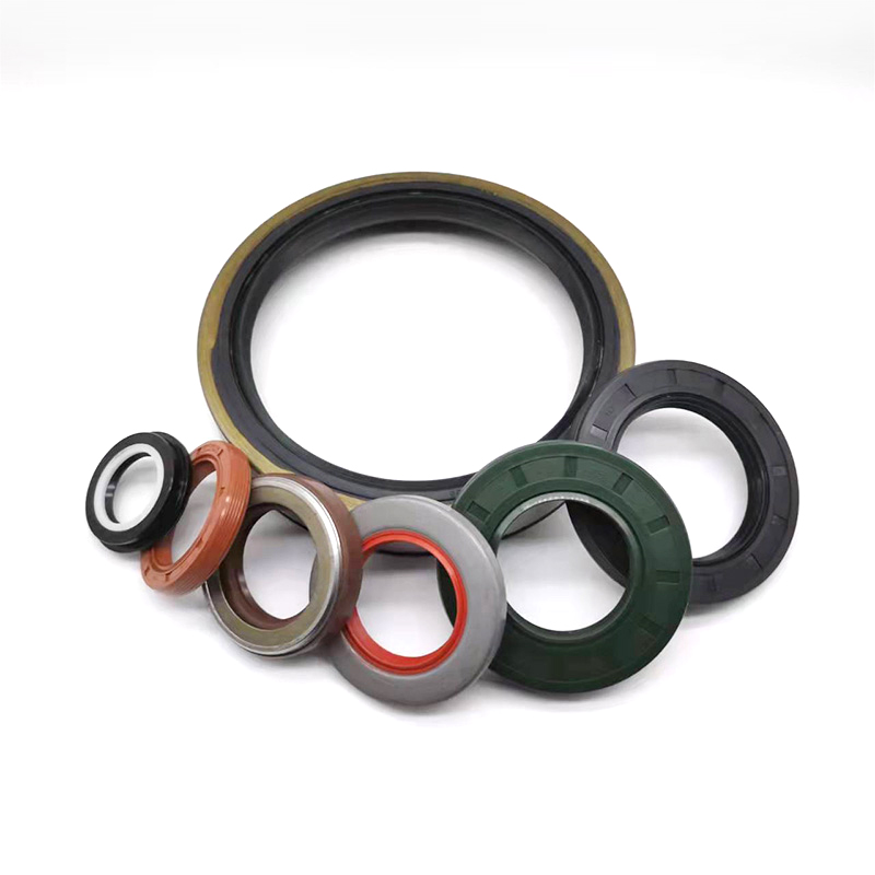 TC TG SC NBR FKM Oil Seal