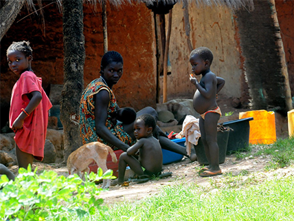 AccuBioTech: Combating Chikungunya Globally to Safeguard Public Health
