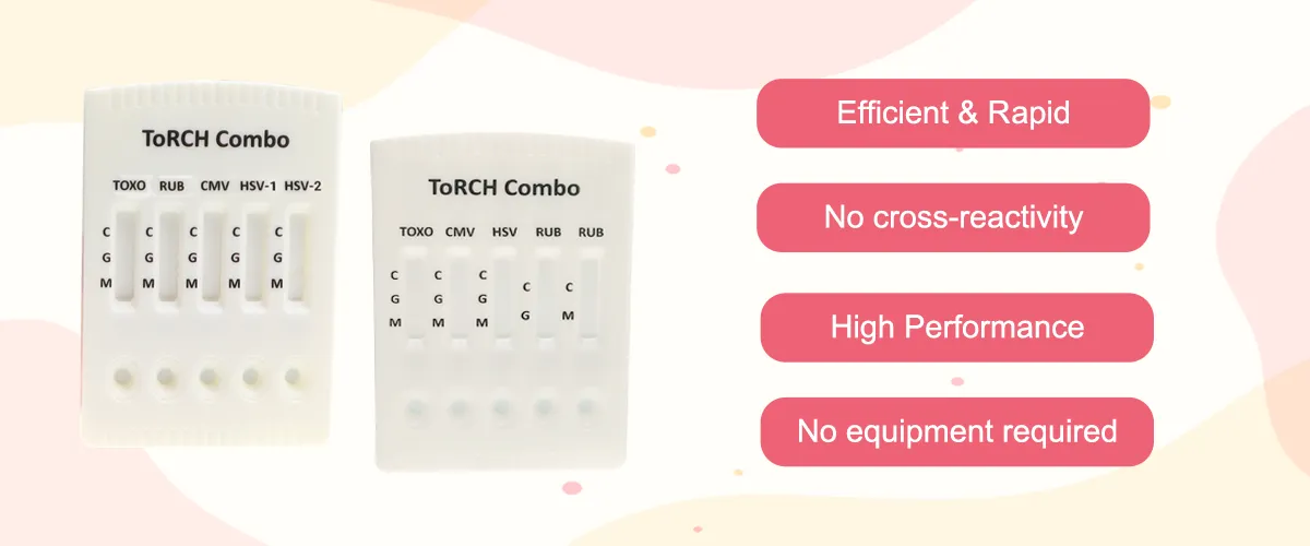 AccuBiotech TORCH Screening: Essential Prenatal Test for Maternal ...