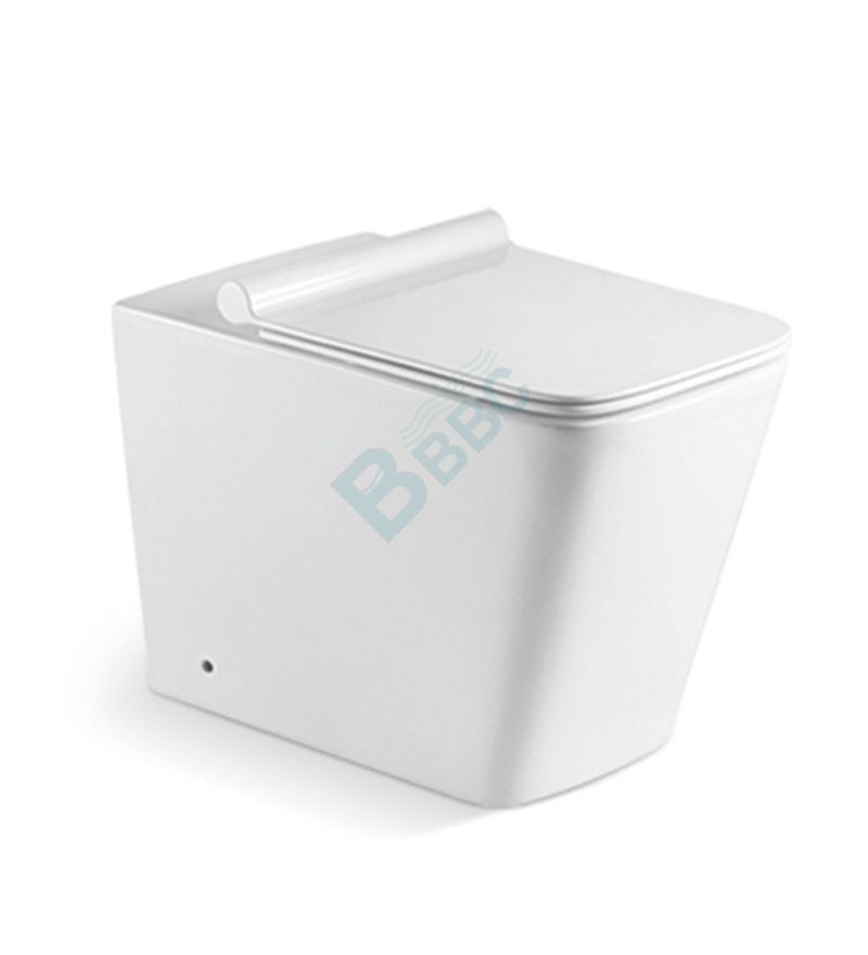 shattaf bidet pedent and flooring toilet for public areas bathroom