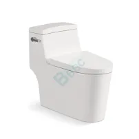American Standard One Piece Toilet