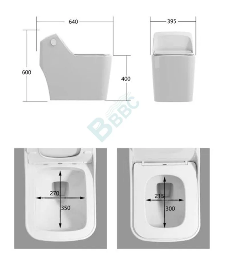 Square Siphon  One-Piece Toilet
