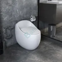 Dual Flush Egg Shape One Piece Toilet