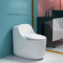 2022 Single Button Siphon  One-Piece Toilet
