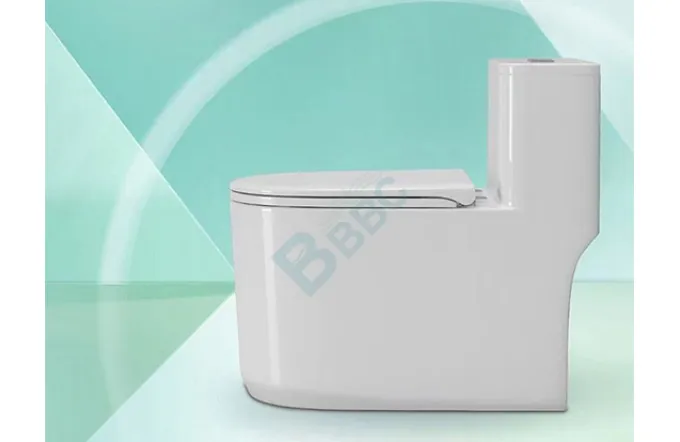 Single Flush VS Dual Flush Toilet - Which Is The Better?