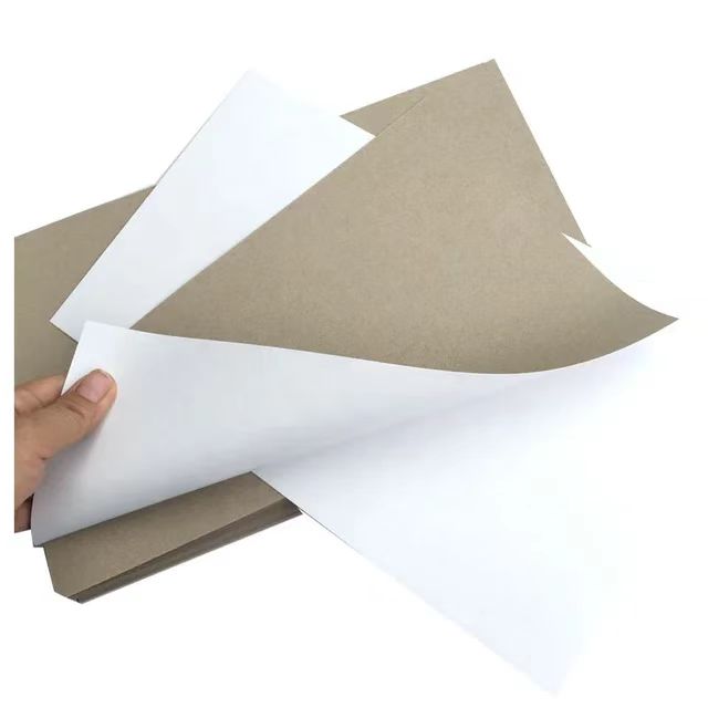 DUPLEX Board: The Versatile and Cost-Effective Choice for All Your Packaging Needs