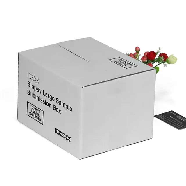 Protect Your Goods with Durable White Shipping Boxes Protect Your Goods with Durable White Shipping Boxes