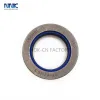 12014159B Combi Oil Seal  for Tractor Drive Axle Seal 55*82*16.5