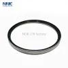 12011969B combi oil seal for Benz Tractor 200*218*10